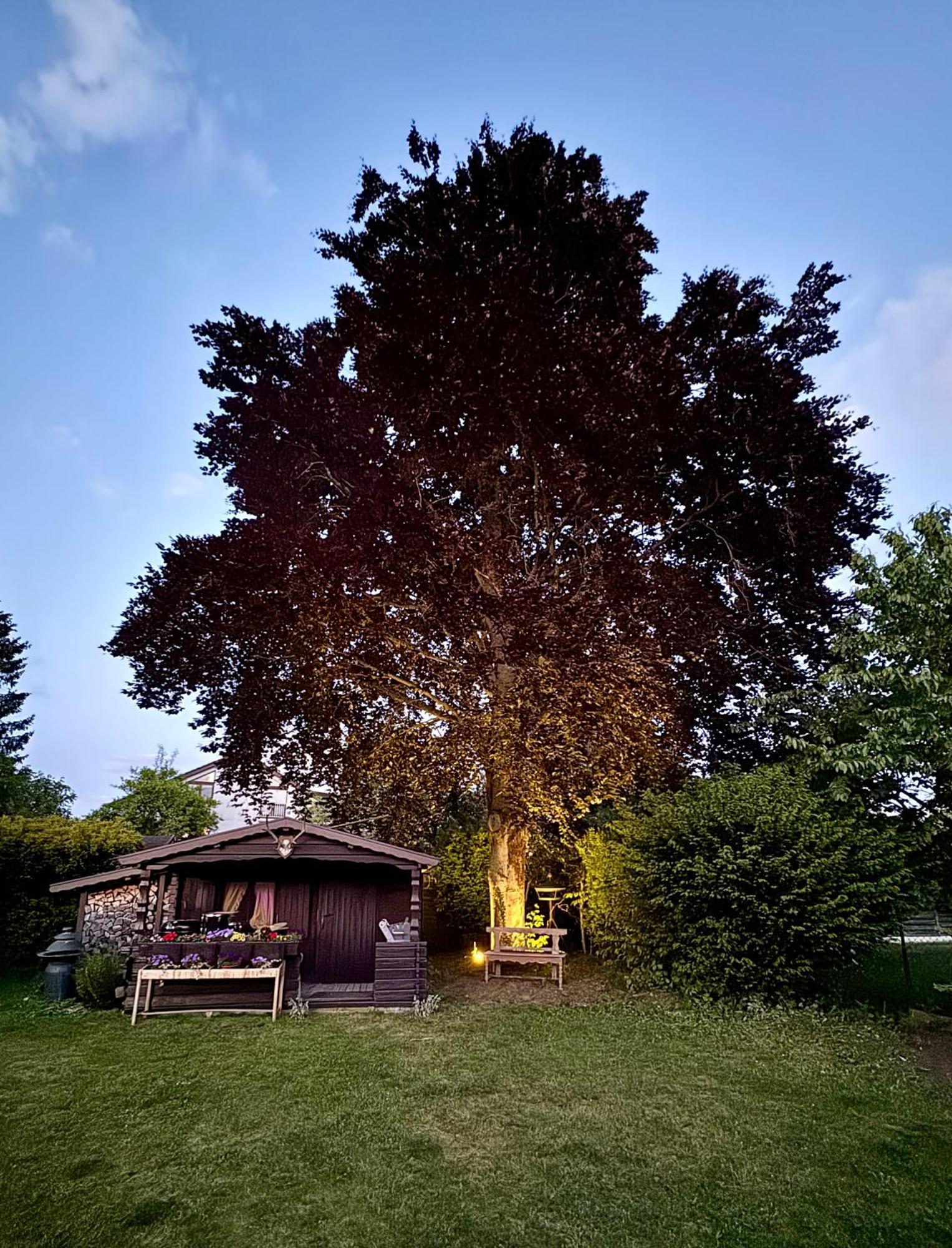 Stadtgarten Oase